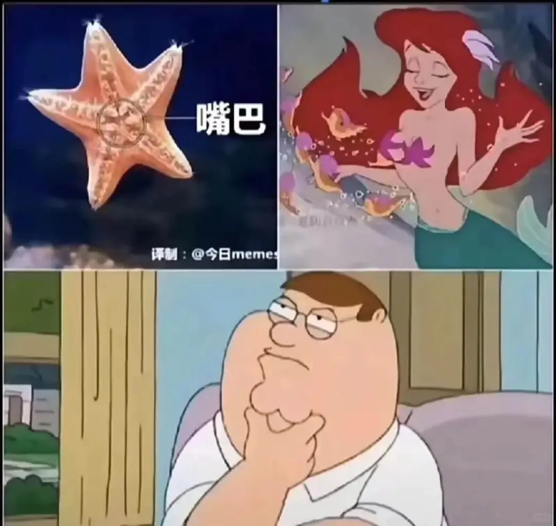 梗图