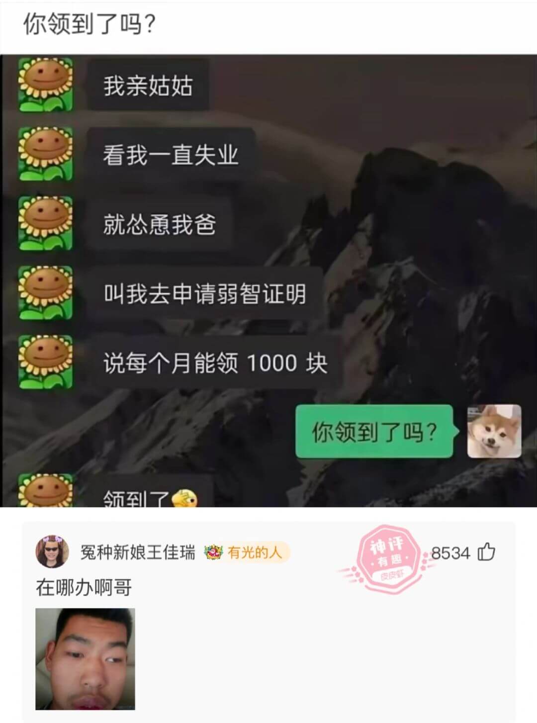 你领到了吗？我亲姑姑看我一直失业就您愿我爸叫我去申请弱智证明