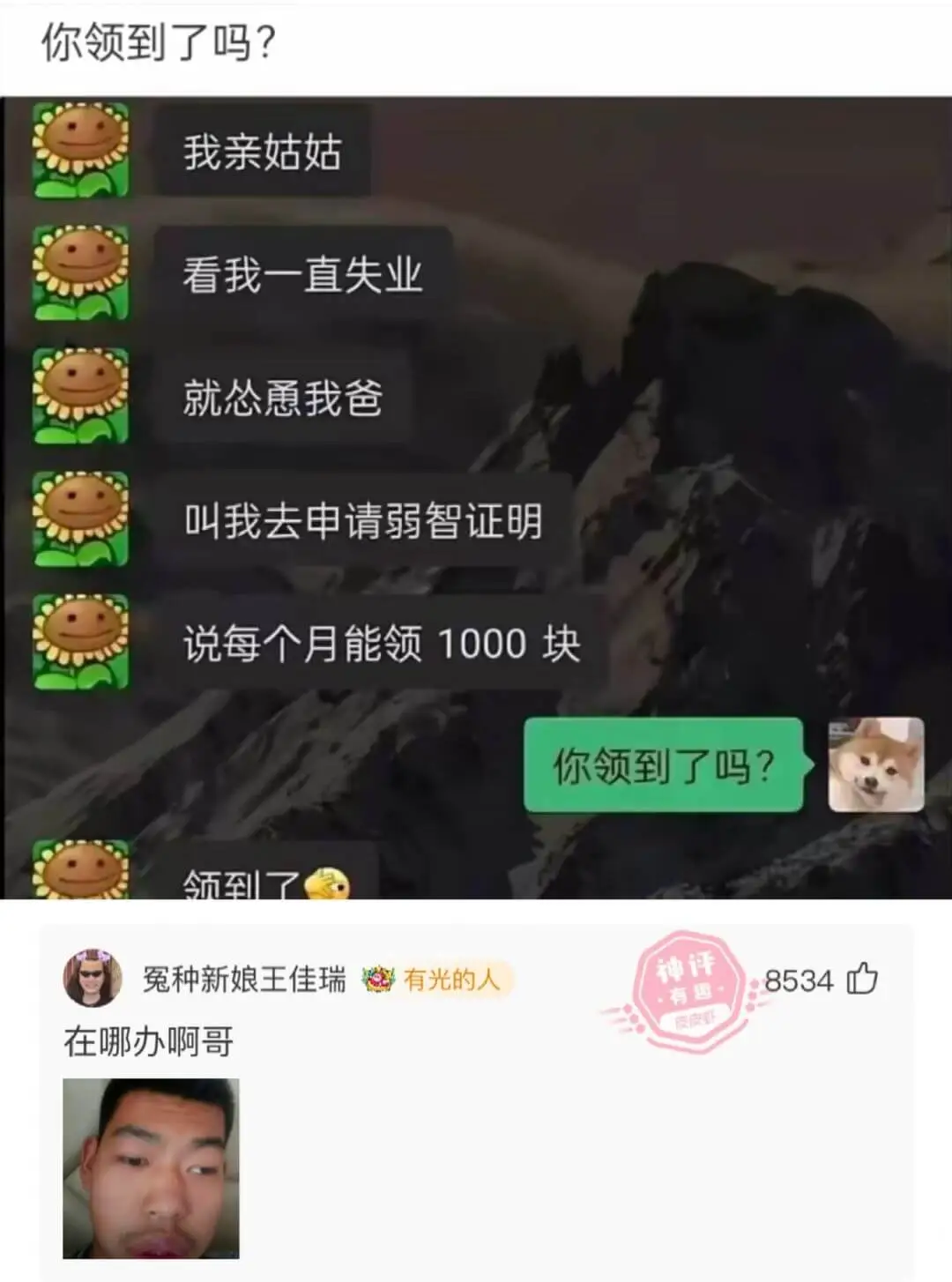 你领到了吗？我亲姑姑看我一直失业就您愿我爸叫我去申请弱智证明
