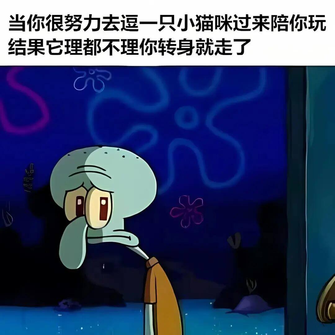 当你很努力去逗一只小猫咪过来陪你玩结果它理都不理你，转身就走