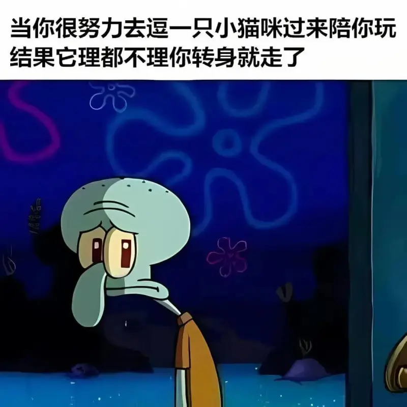 当你很努力去逗一只小猫咪过来陪你玩结果它理都不理你，转身就走