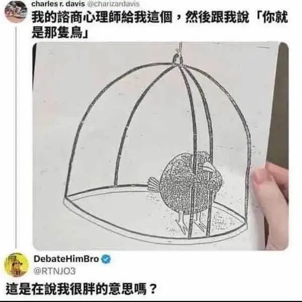 我的諮商心理師給我這個，然後跟我說「你就是那隻鳥」。這是在說
