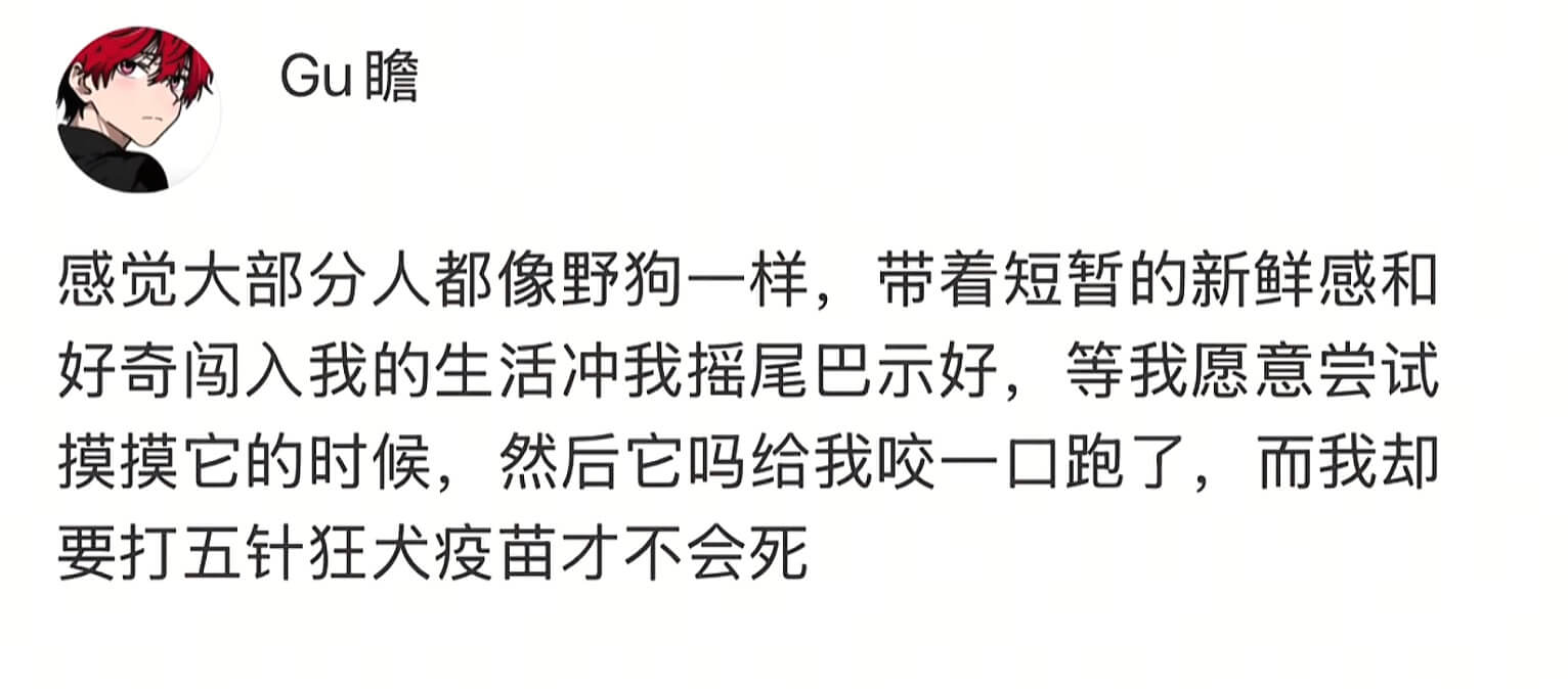 Gu瞻感觉大部分人都像野狗一样，带着短暂的新鲜感和好奇闯入我