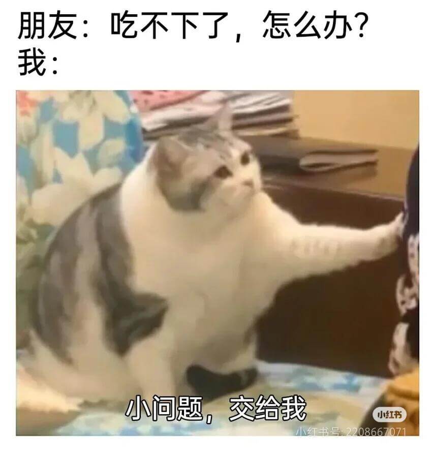 朋友:吃不下了，怎么办?我:小问题，交给我小红书号:2208