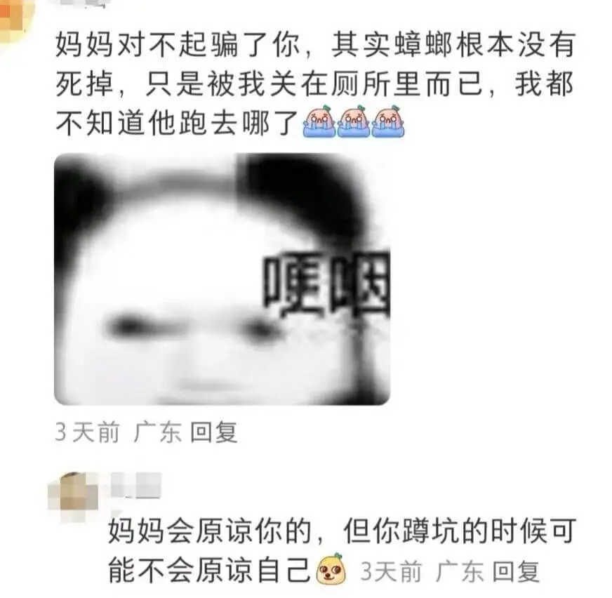 妈妈对不起骗了你，其实蟑螂根本没有死掉，只是被我关在厕所里而