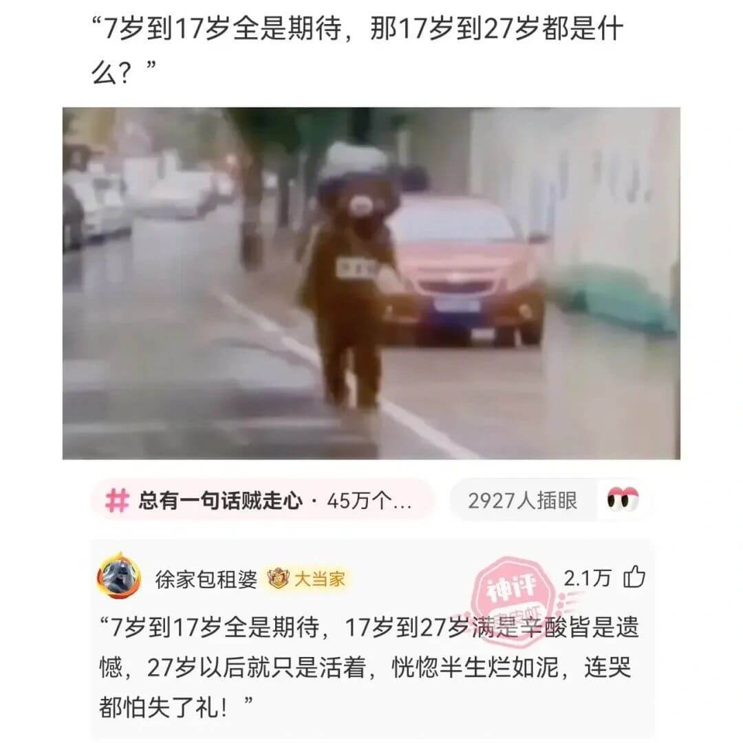 “7岁到17岁全是期待，那17岁到27岁都是什么?”总有一句