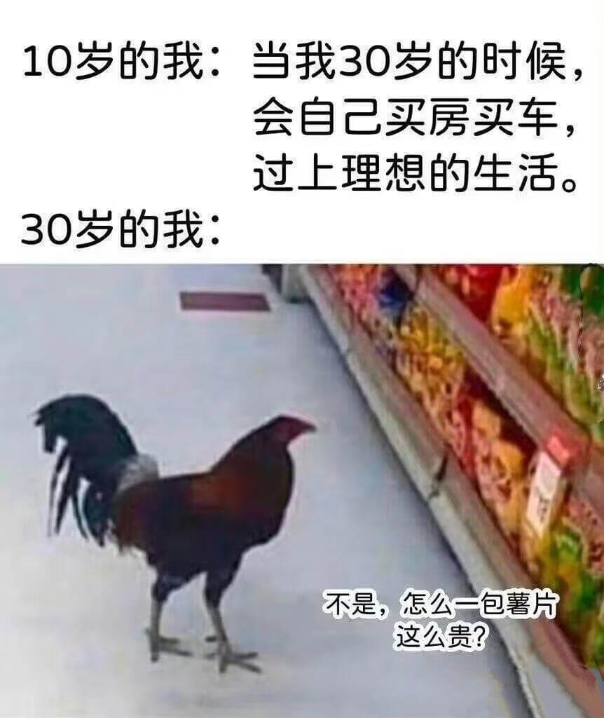 10岁的我：当我30岁的时候会自己买房买车，过上理想的生活。