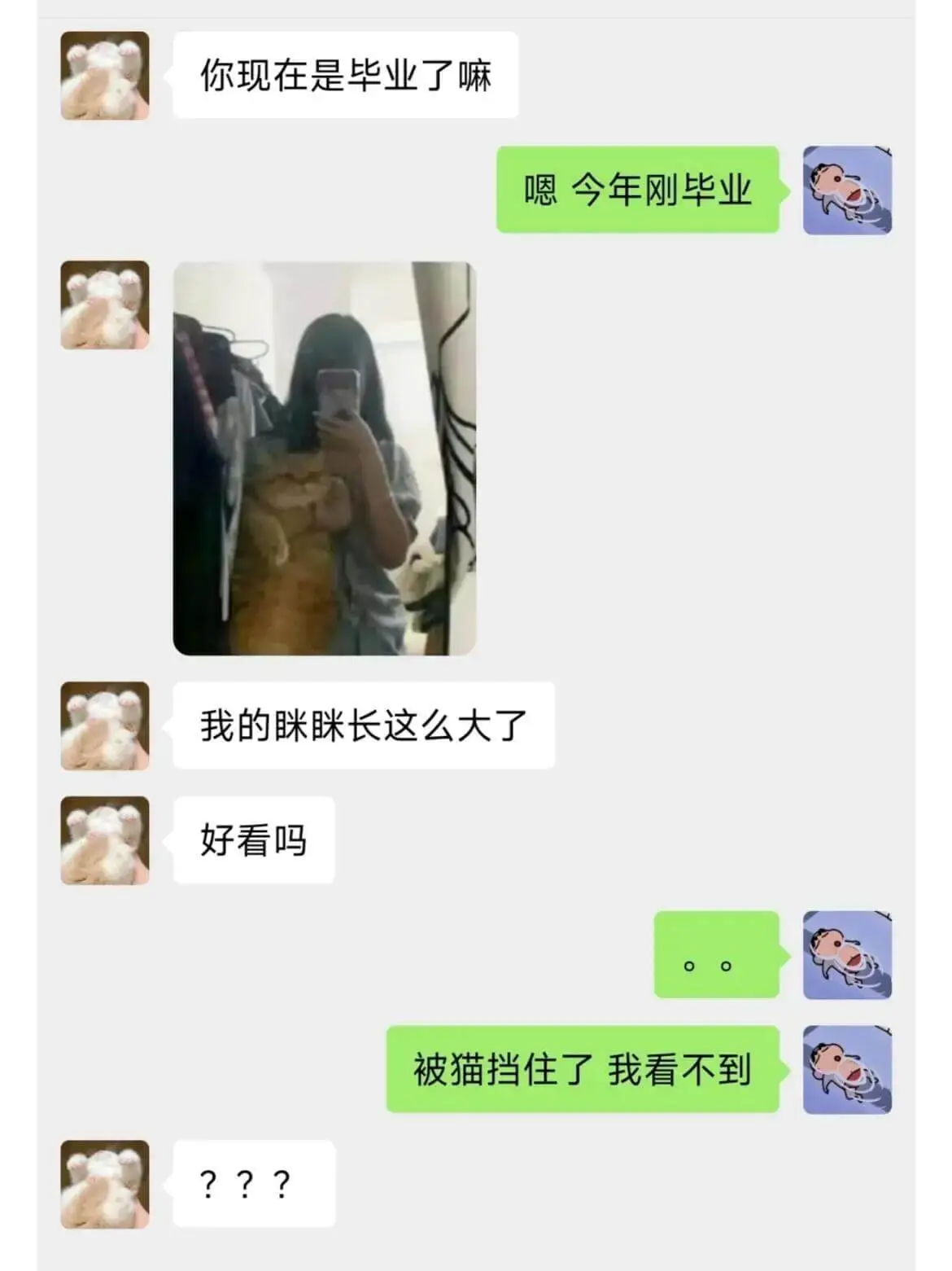 梗图