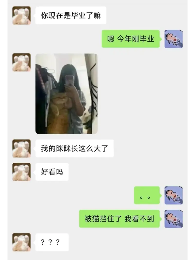 梗图