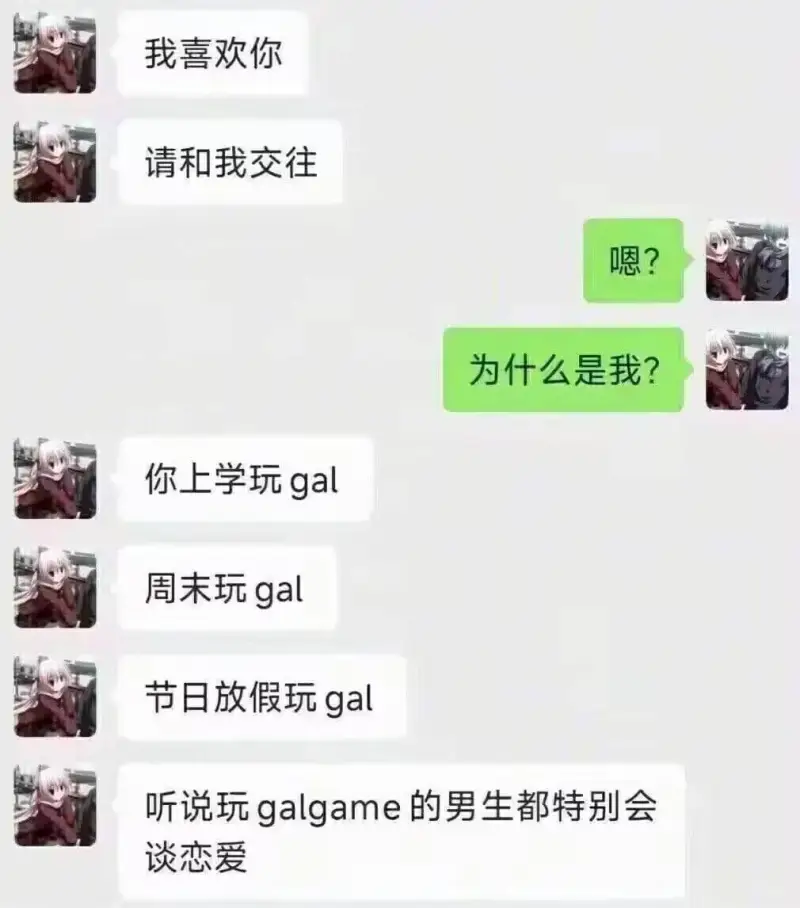 我喜欢你，请和我交往。嗯？为什么是我？周末玩GAL。节日放假