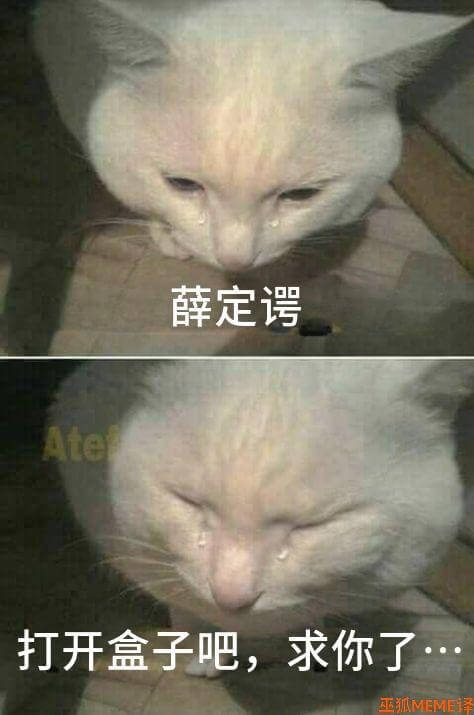 薛定Ate打开盒子吧，求你了巫狐MEM