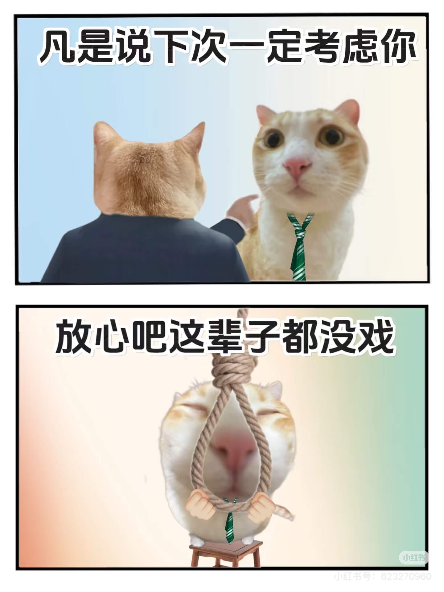 凡是说下次一定考虑你，放心吧，这辈子都没戏。小红书