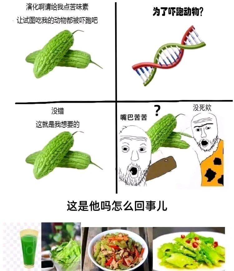 演化啊,请给我点苦味素,为了吓跑动物?让试图吃我的动物都被吓