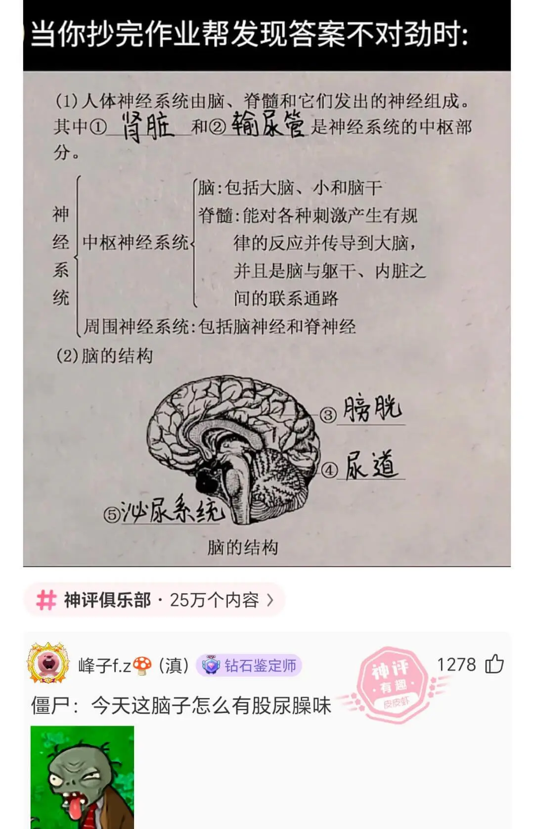 当你抄完作业帮发现答案不对劲时：（1）人体神经系统由脑、脊髓