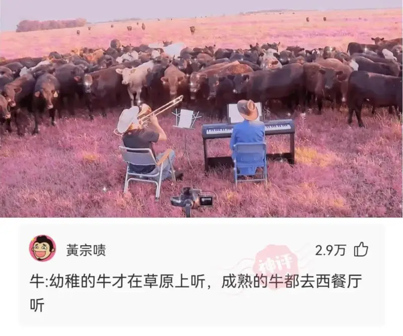黃宗啧2.9万牛:幼稚的牛才在草原上听，成熟的牛都去西餐厅听