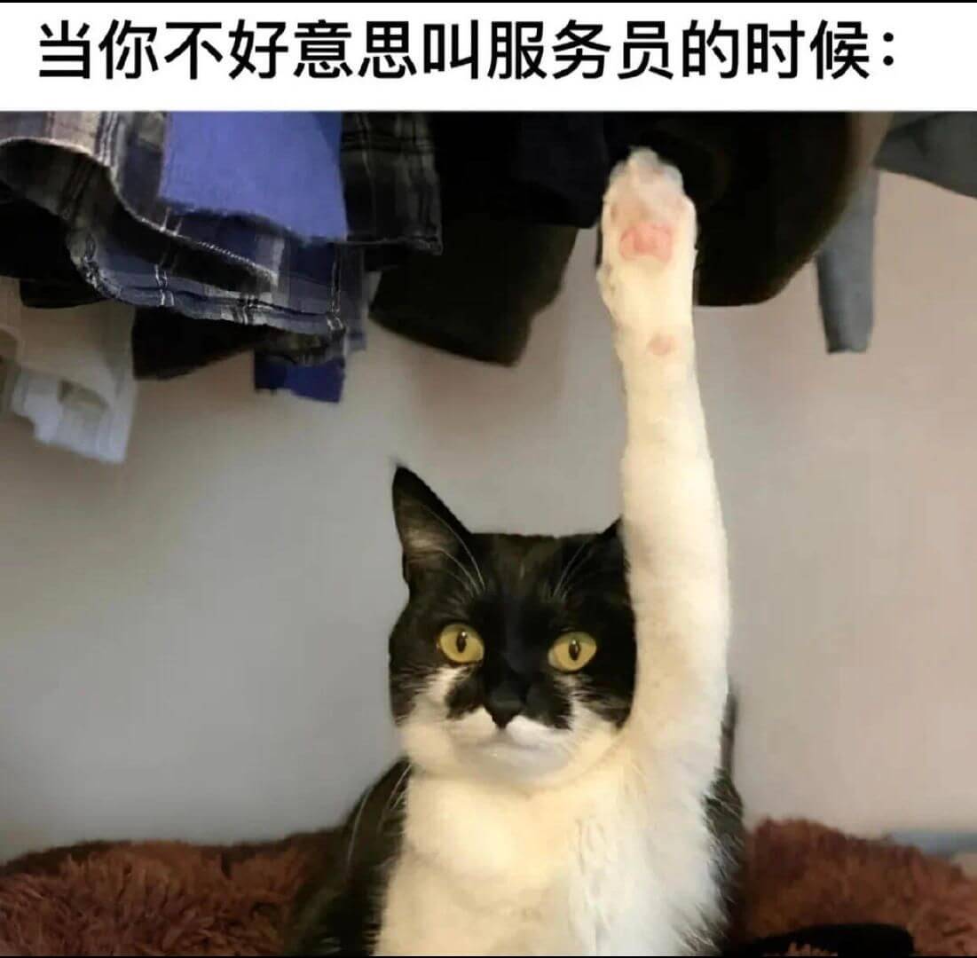 当你不好意思叫服务员的时候：