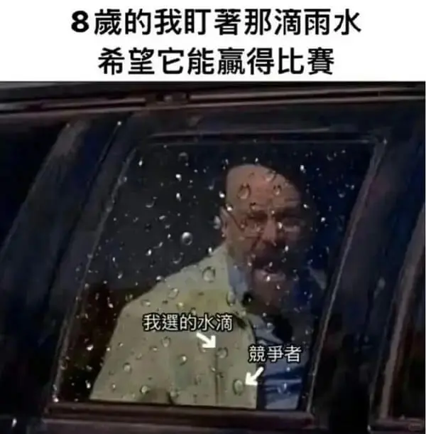 8歲的我盯著那滴雨水，希望它能贏得比賽。我選的水滴，競爭者。