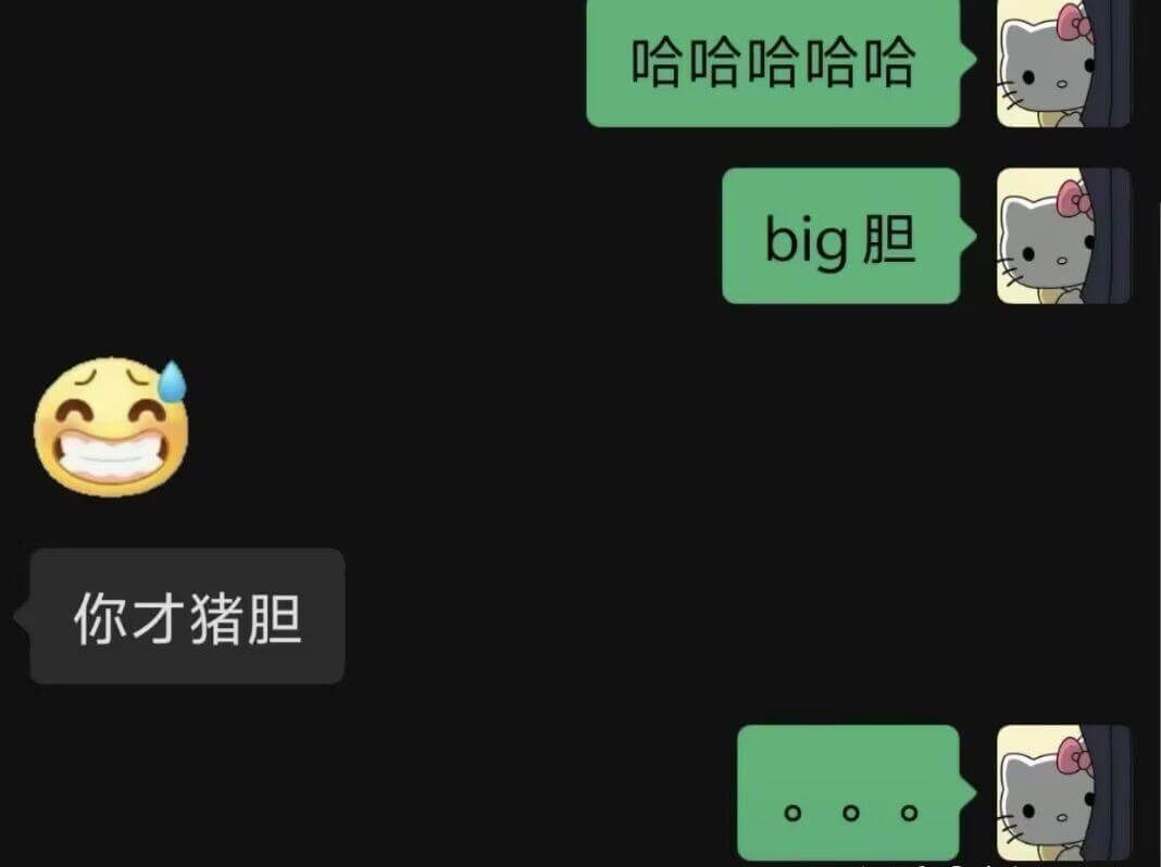 哈哈哈哈哈big胆你才猪胆