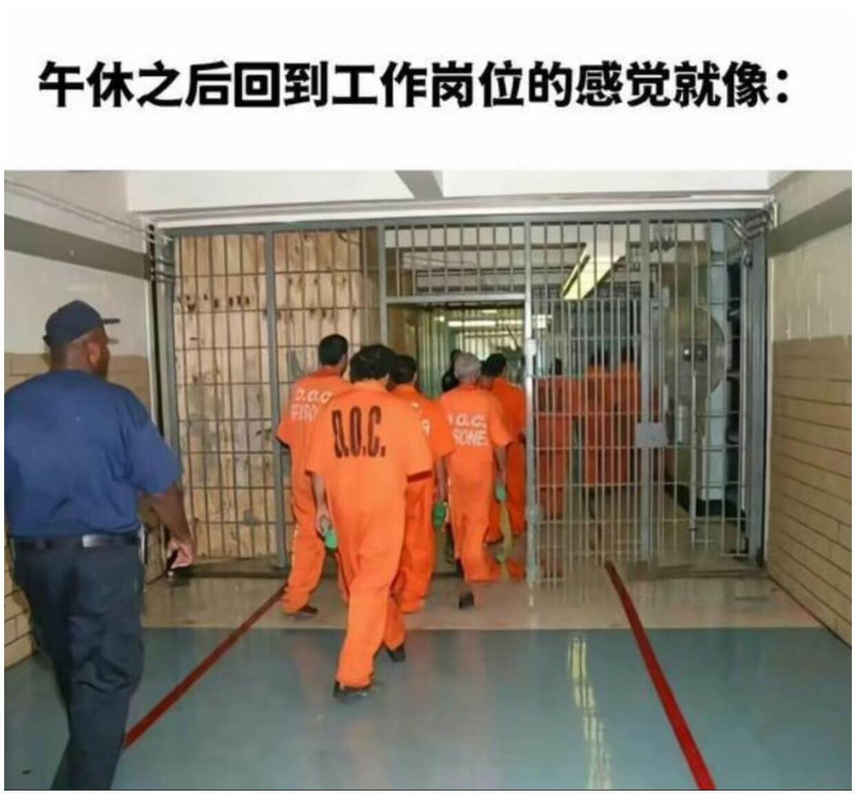 午休之后回到工作岗位的感觉就像：