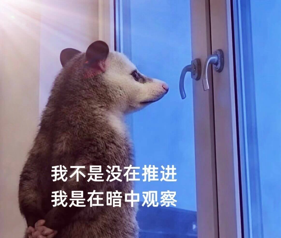 我不是没在推进，我是在暗中观察。