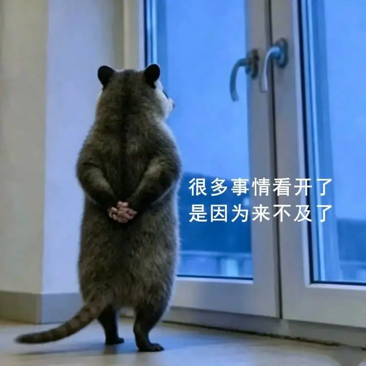 梗图