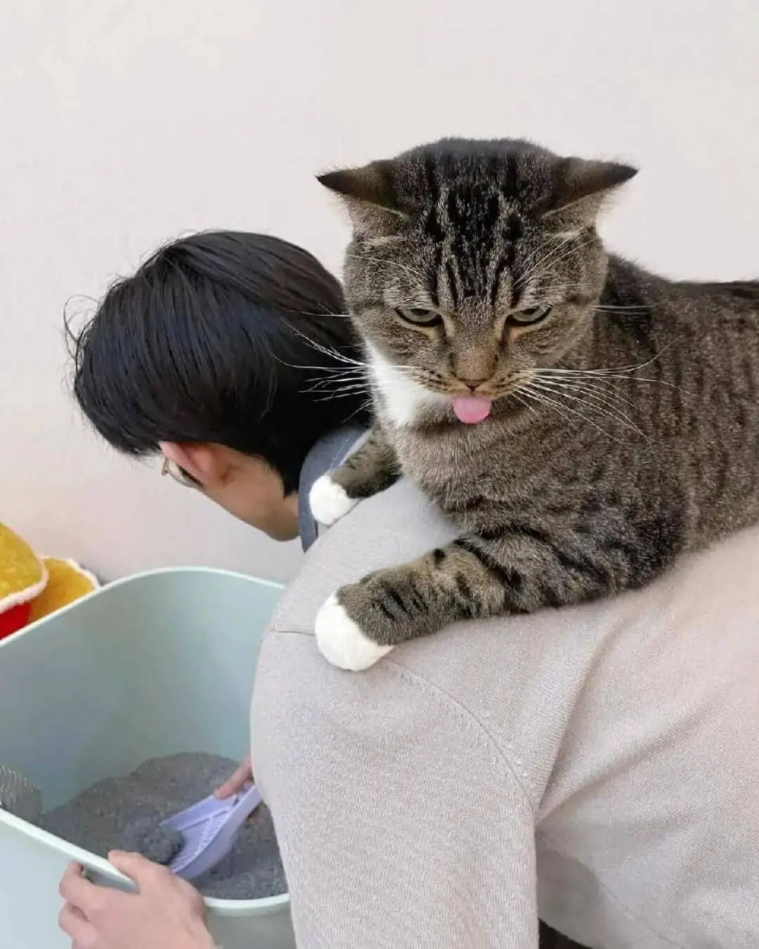 嘻嘻VS不嘻嘻～