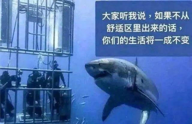 大家听我说，如果不从舒适区里出来的话，你们的生活将一成不变。