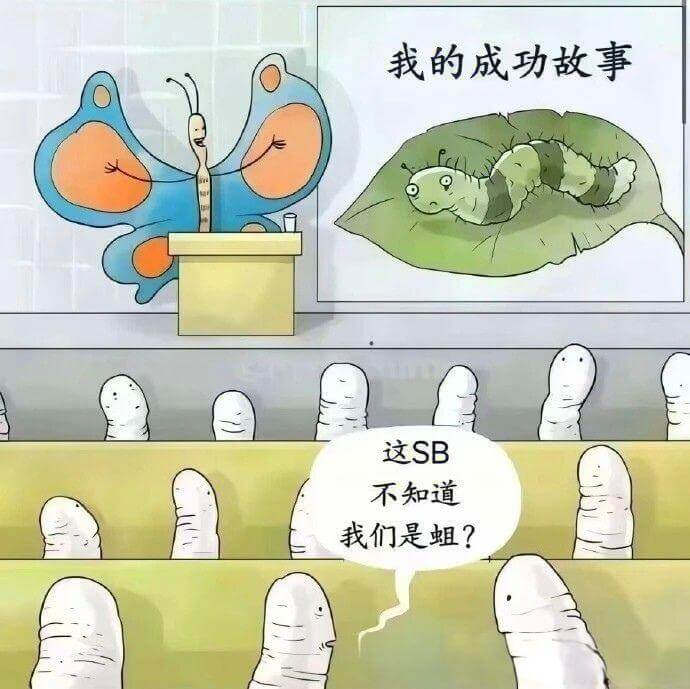 我的成功故事这SB不知道我们是？