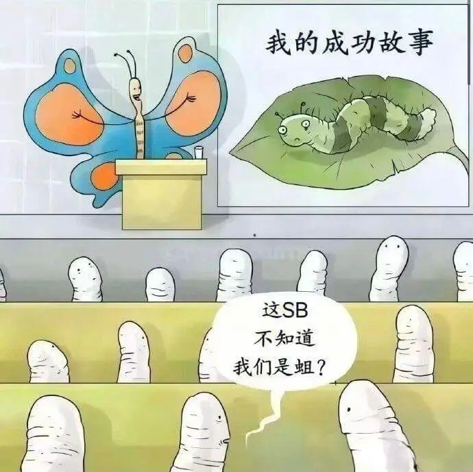 我的成功故事这SB不知道我们是？