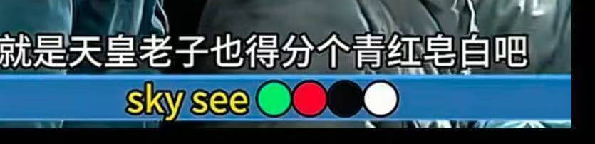 就是天皇老子也得分个青红皂白吧skysee