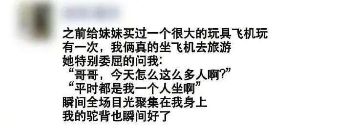 之前给妹妹买过一个很大的玩具飞机玩。有一次，我俩真的坐飞机去