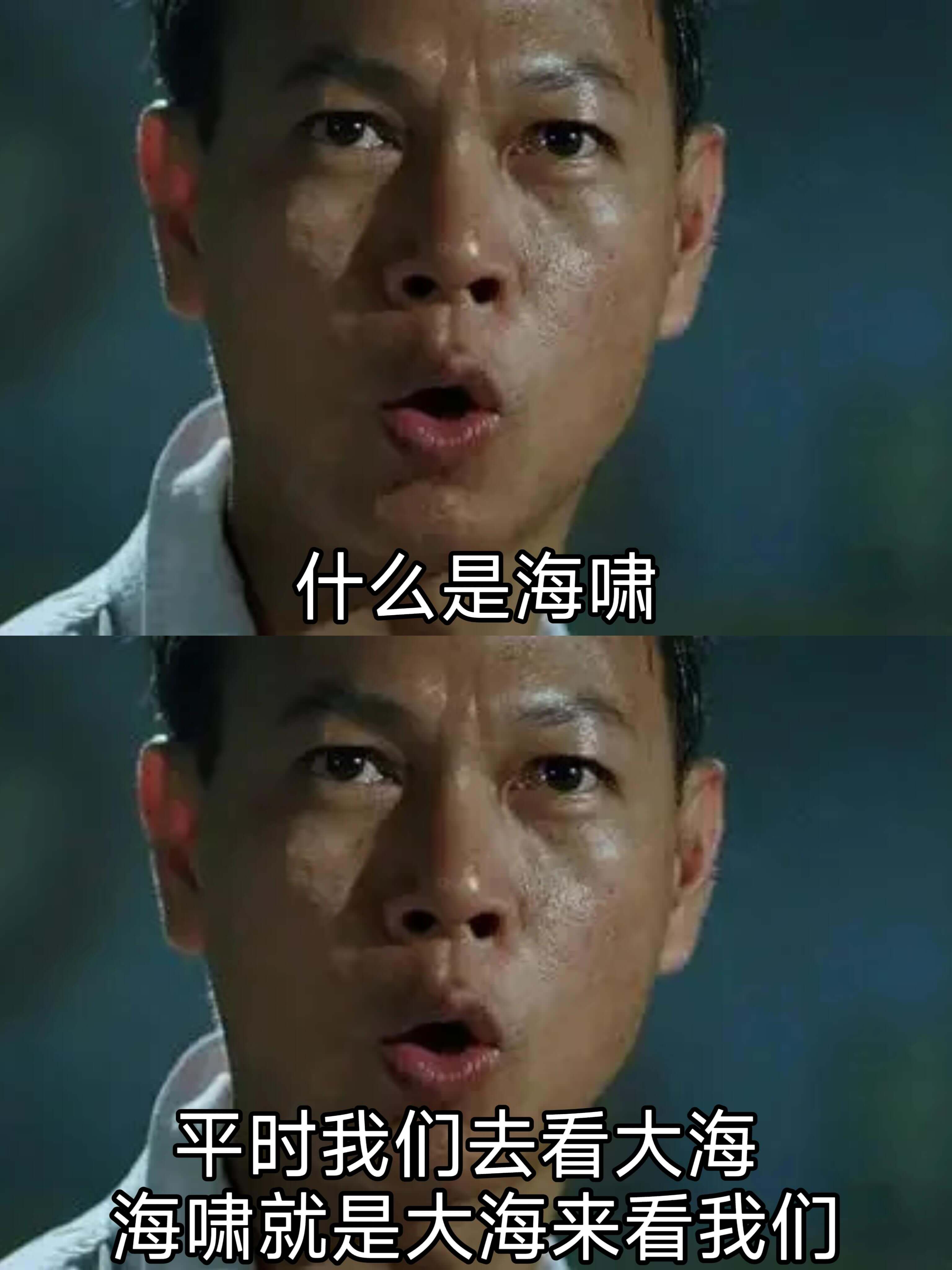 什么是海啸平时我们去看大海，海啸就是大海来看我们。