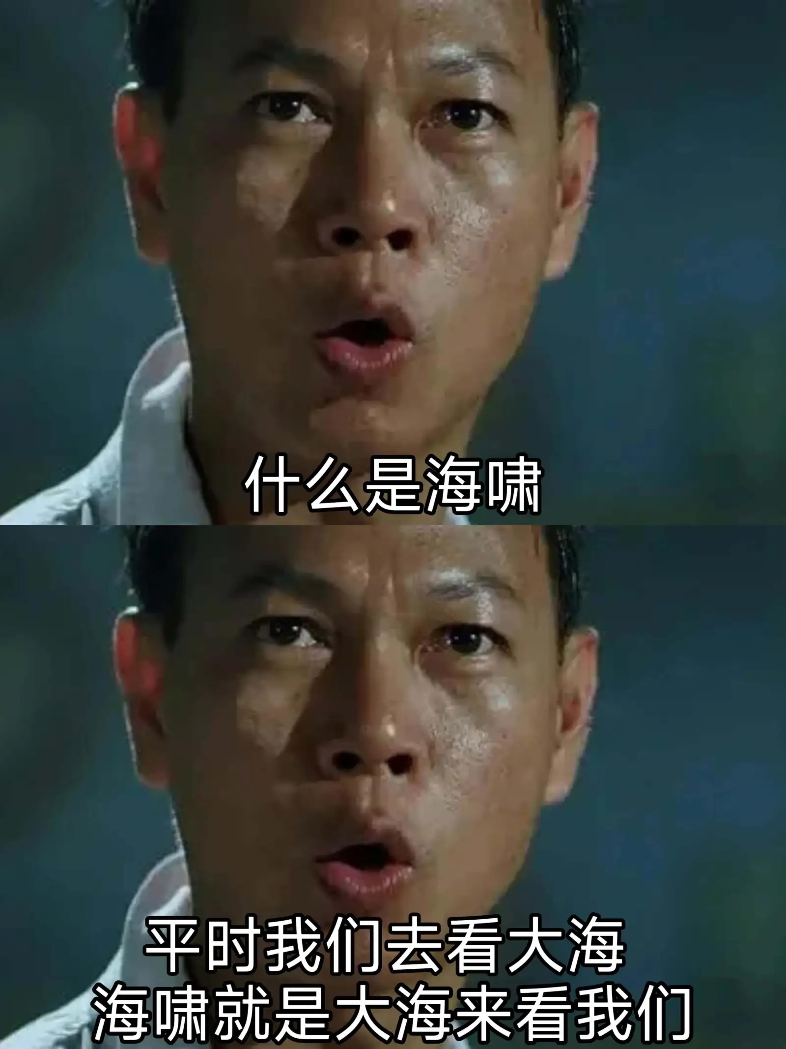 什么是海啸平时我们去看大海，海啸就是大海来看我们。