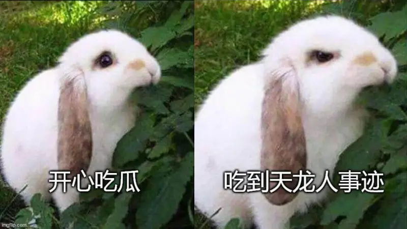 开心吃瓜，吃到天龙人事迹