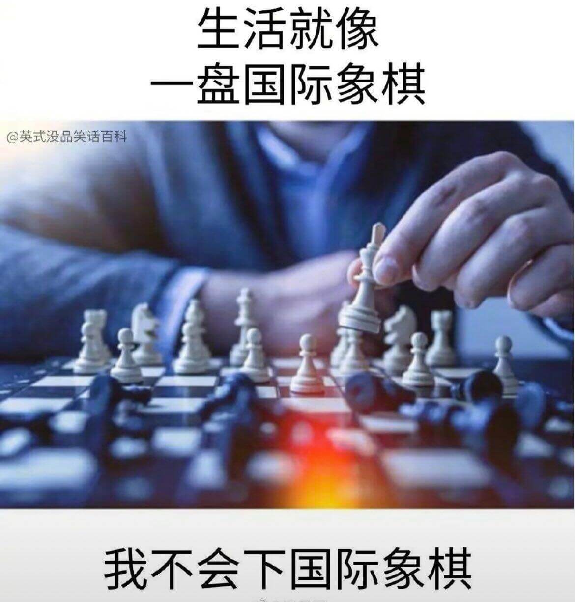 生活就像一盘国际象棋@英式没品笑话百科我不会下国际象棋