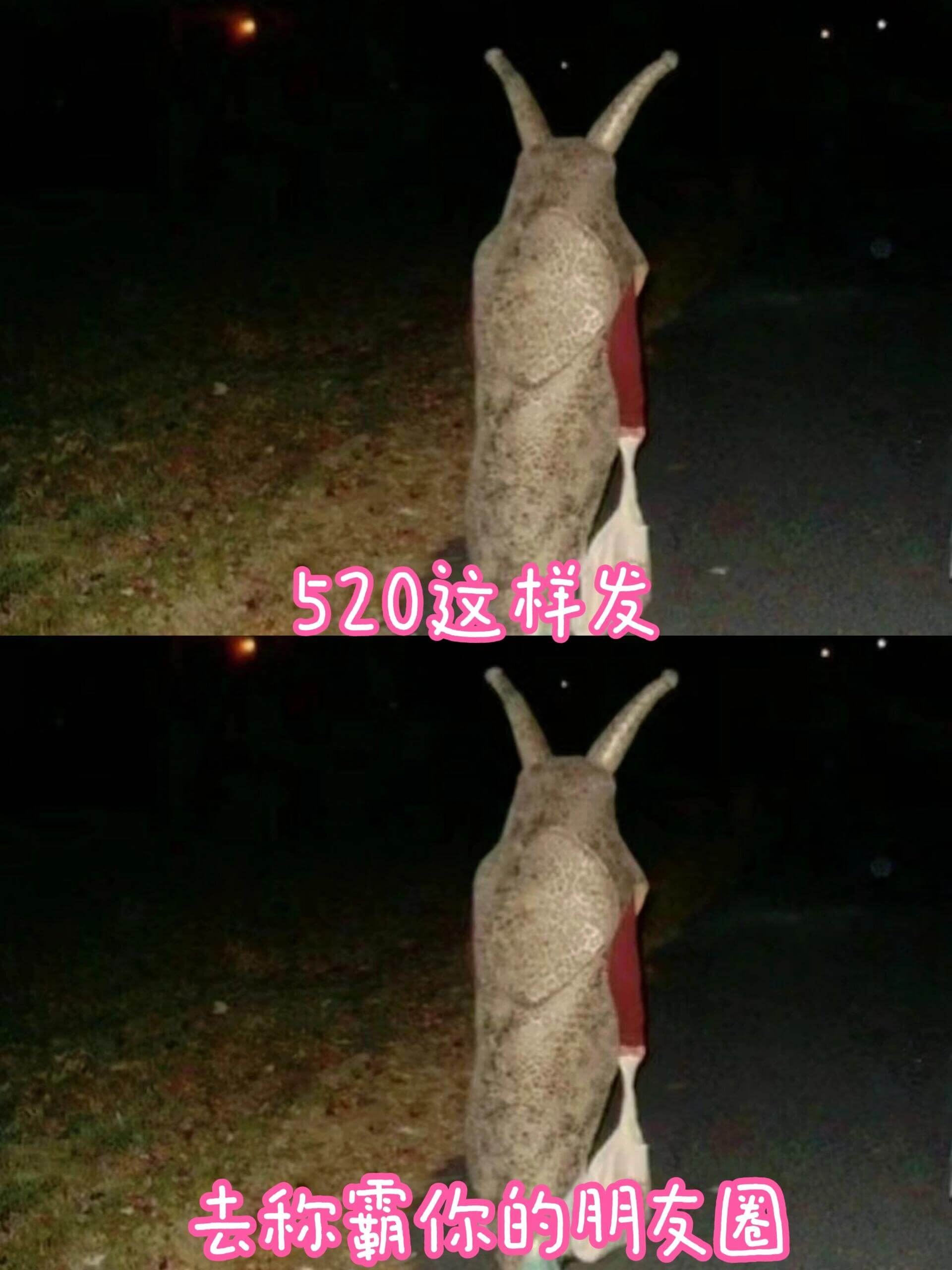 520这样发去称霸你的朋友圈