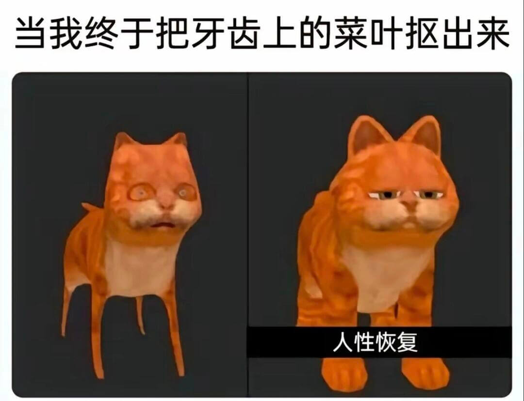 当我终于把牙齿上的菜叶抠出来，人性恢复。