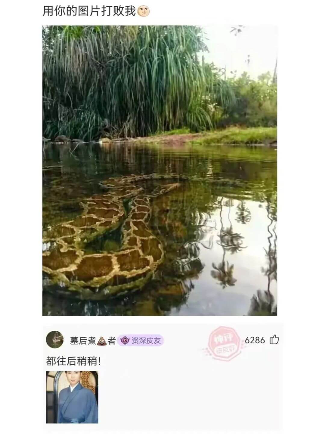 用你的图片打败我墓后煮者资深皮友都往后稍稍!6286