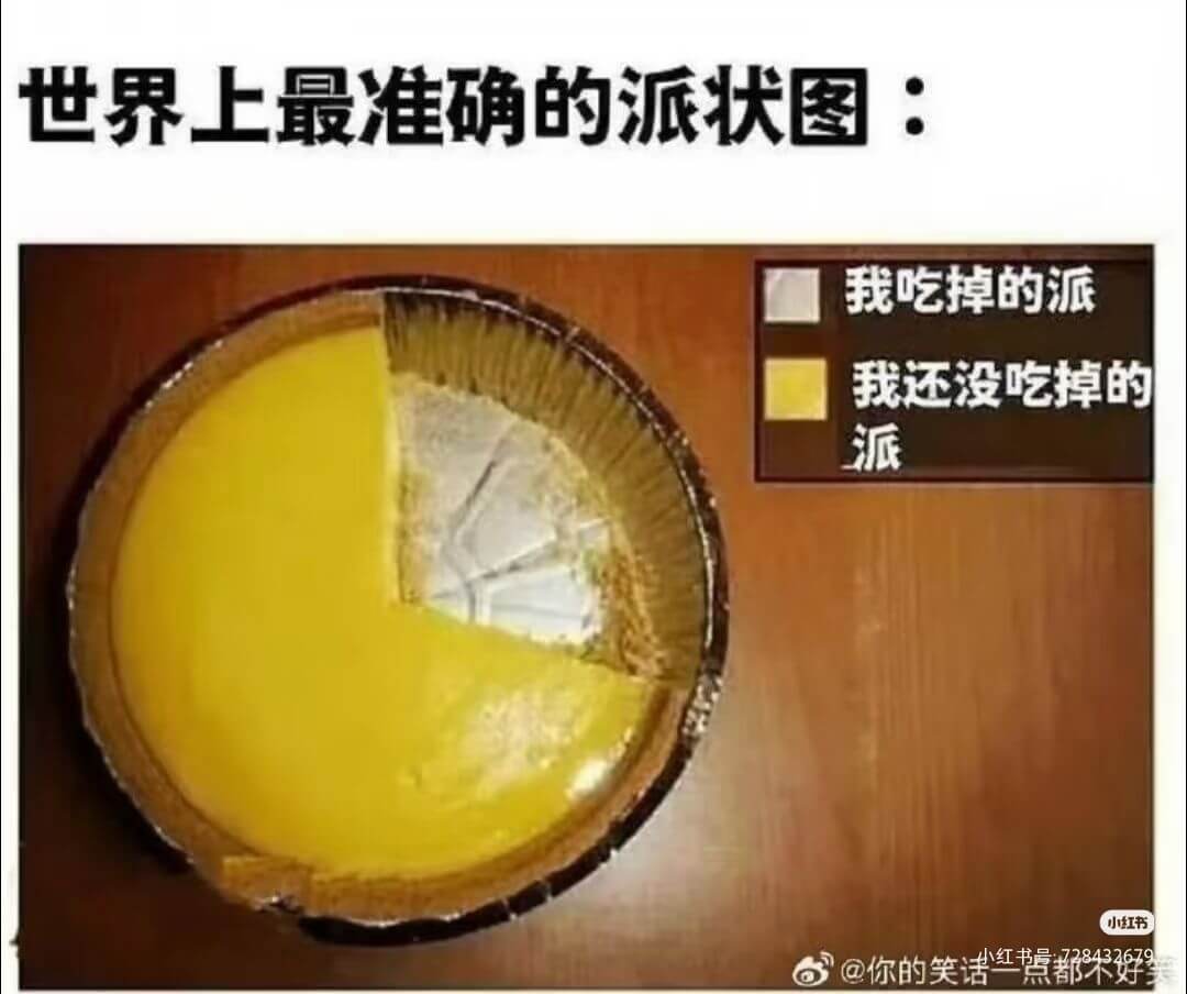 世界上最准确的派状图:我吃掉的派我还没吃掉的派小红书@你的笑