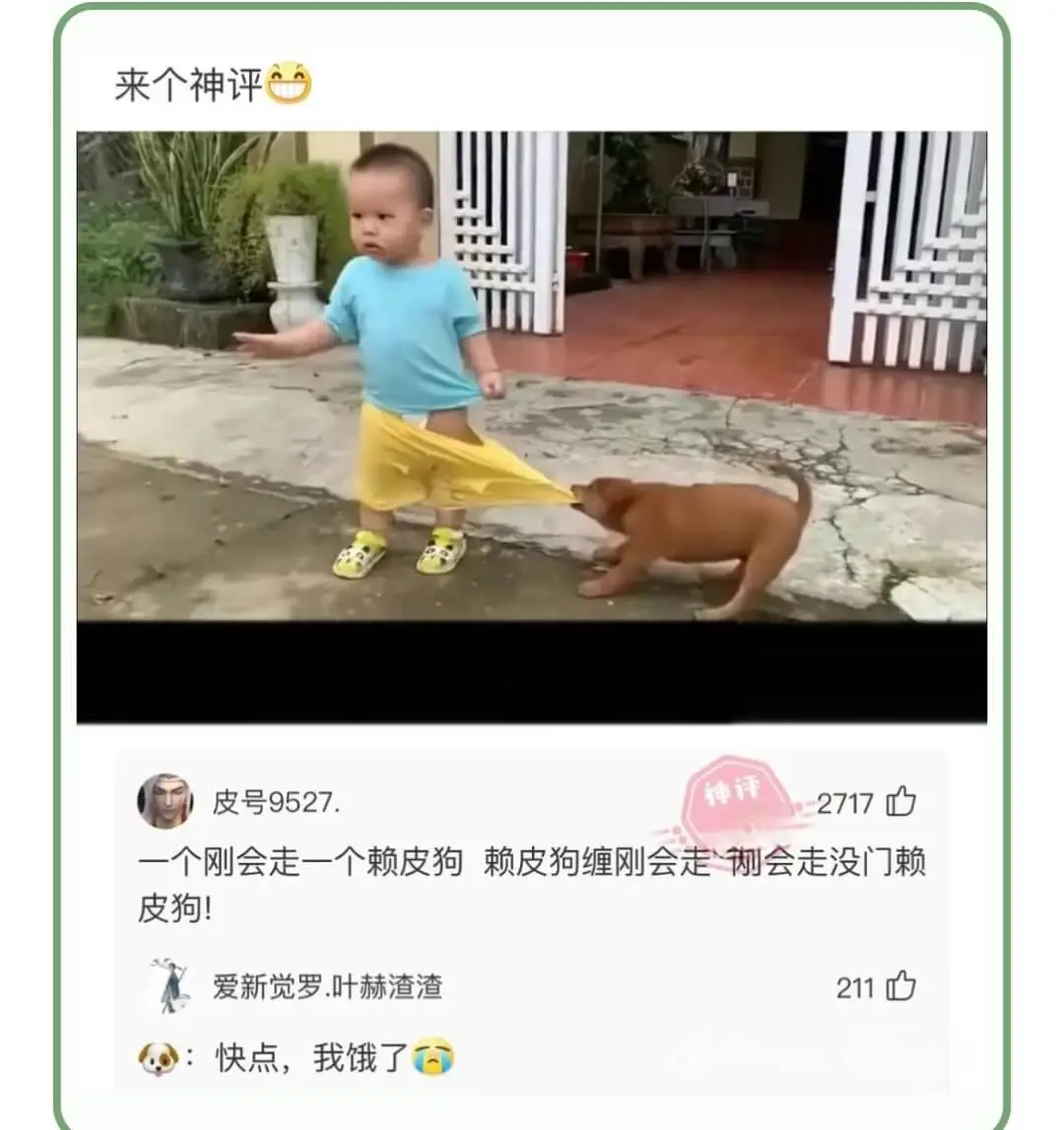 来个神评一个刚会走一个赖皮狗赖皮狗缠刚会走`刚会走没门赖皮狗