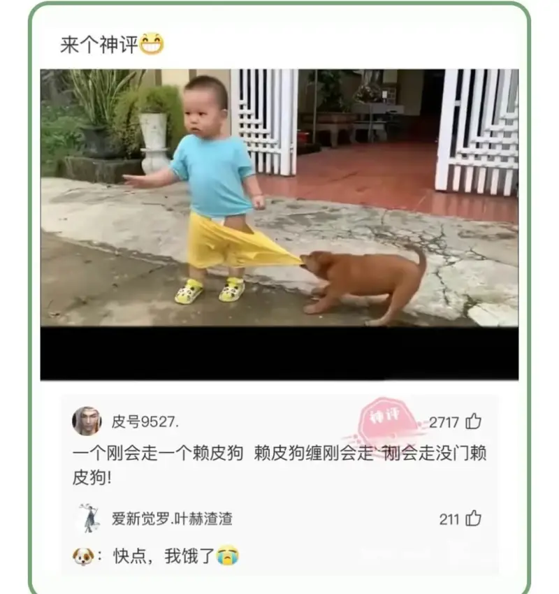 来个神评一个刚会走一个赖皮狗赖皮狗缠刚会走`刚会走没门赖皮狗