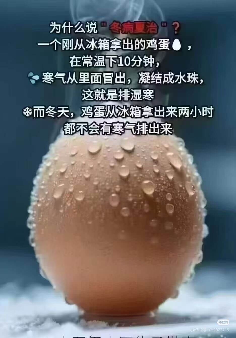 为什么说“冬夏治“？一个刚从冰箱拿出的鸡蛋，在常温下10分钟