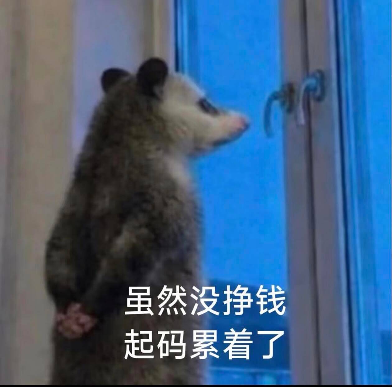 虽然没挣钱，起码累着了。