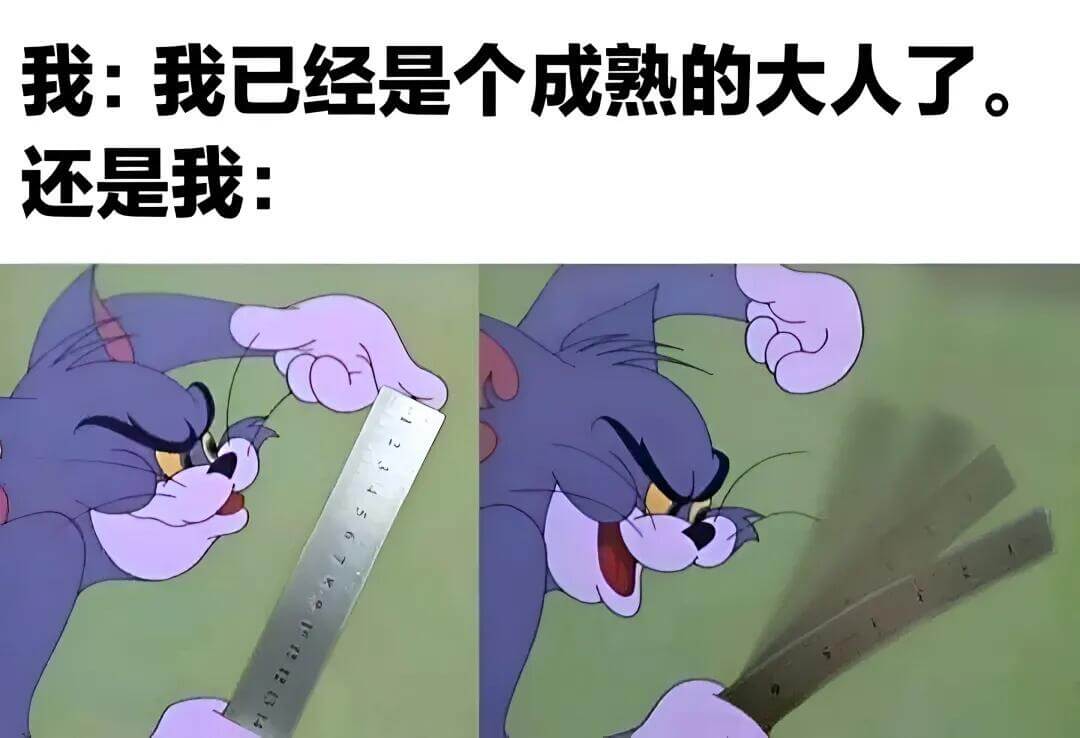我：我已经是个成熟的大人了。还是我：