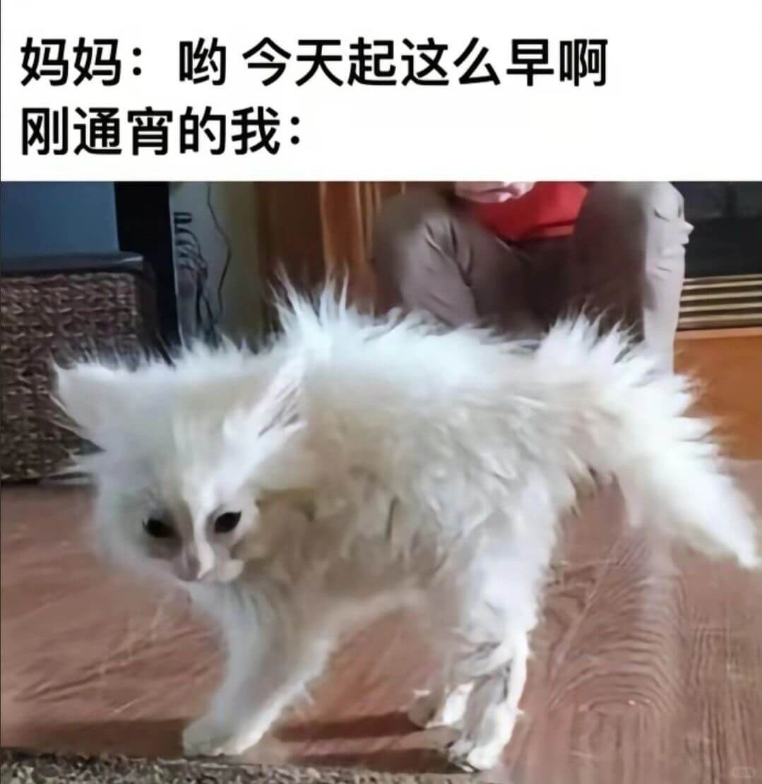 妈妈：哟，今天起这么早啊。刚通宵的我：