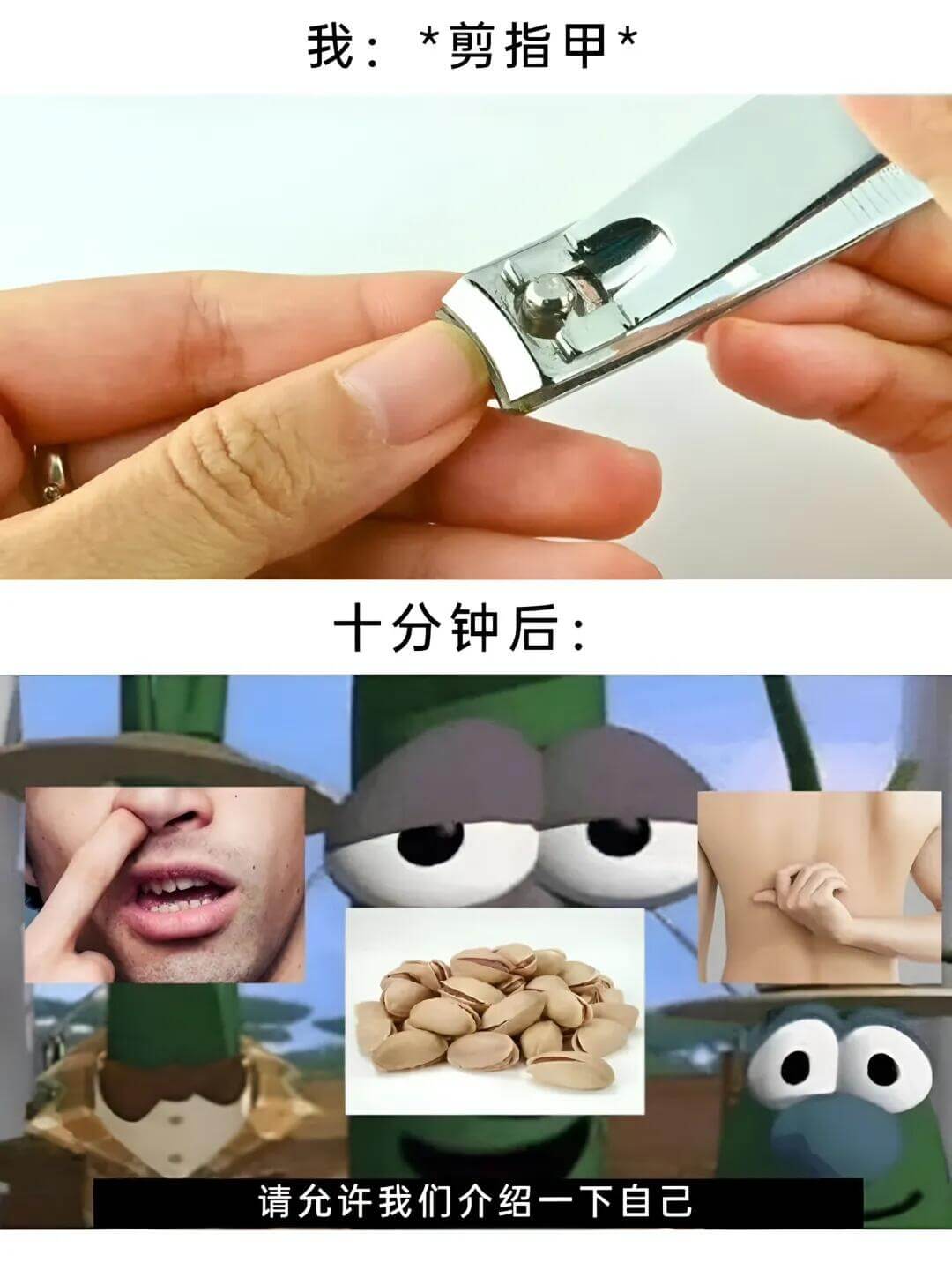 我：＊剪指甲十分钟后：请允许我们介绍一下自己
