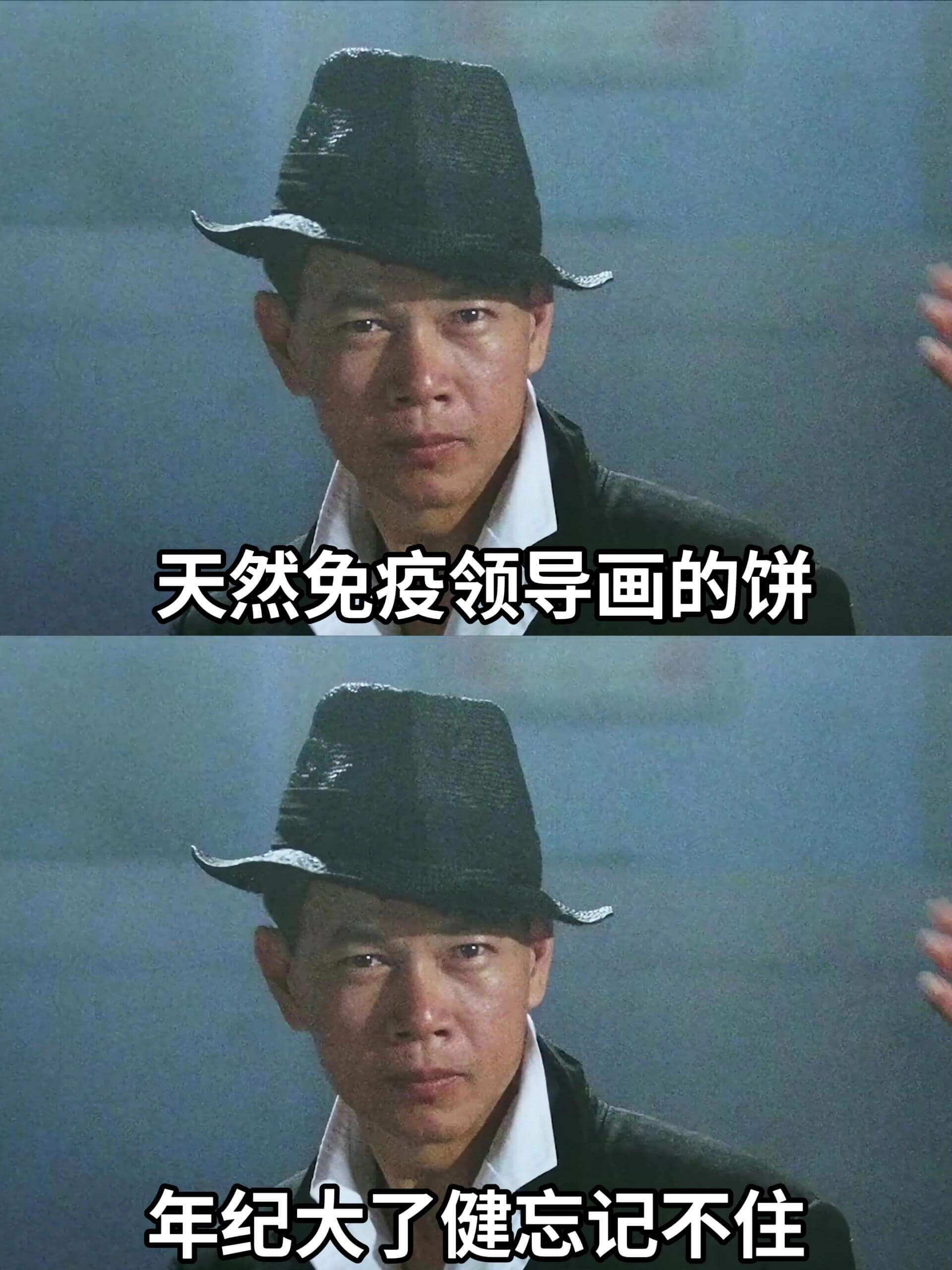 天然免疫领导画的饼年纪大了健忘不住