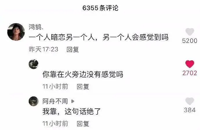 6355条评论鸿鸽：个人暗恋另一个人，另一个人会感觉到吗？5