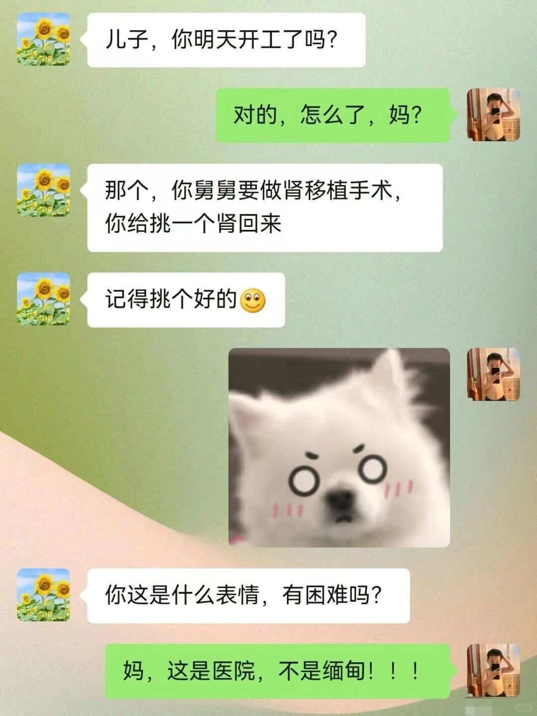 儿子，你明天开工了吗？对的，怎么了，妈？那个，你舅舅要做肾移