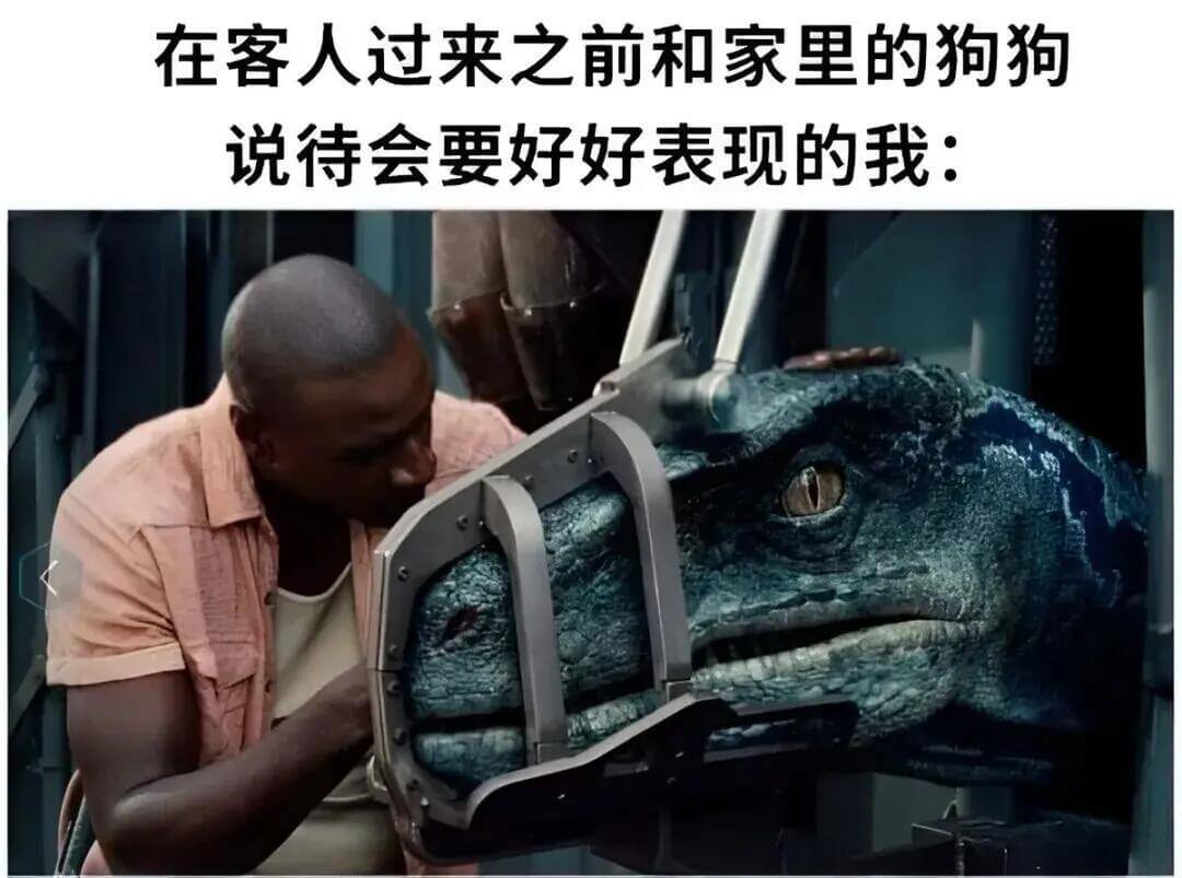在客人过来之前和家里的狗狗说待会要好好表现的我：